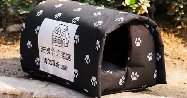 门卫大爷心疼流浪猫，手工搭建过冬小窝，众人接力驱散严寒