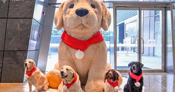 平安金融中心“汪汪队”小狗的真实身份竟是搜爆犬