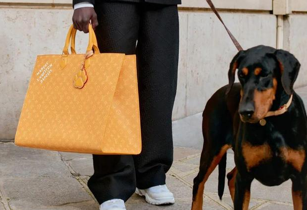 时尚圈的终极战场，为何是毛孩子