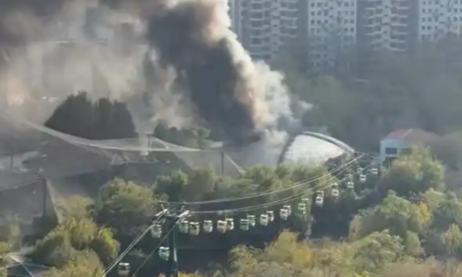郑州市动物园发生火灾事故？园方发布了情况通报！