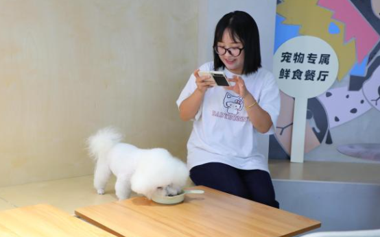 宠物友好型场景花式 “上新” 携宠出游成新风潮