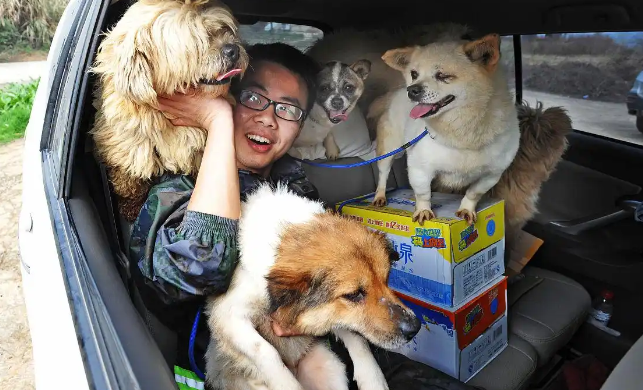 贵州洪水现宠物专属物资点：文明救灾的温情实践