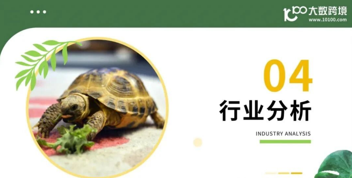 从消费人群到品牌，2025年小宠异宠用品市场浅析