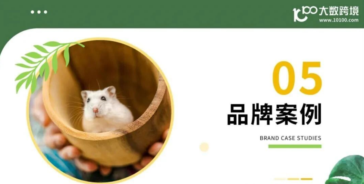 从消费人群到品牌，2025年小宠异宠用品市场浅析