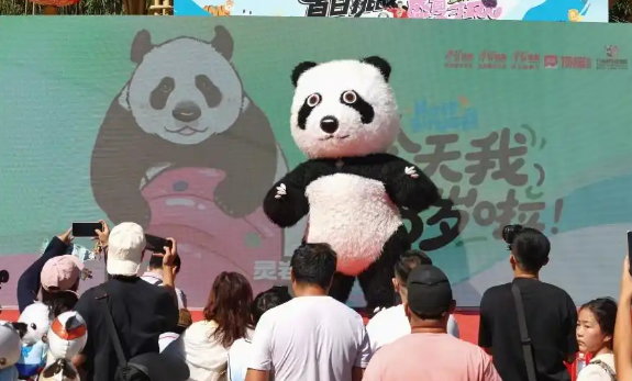 大熊猫灵岩迈迈受聘公益形象大使！