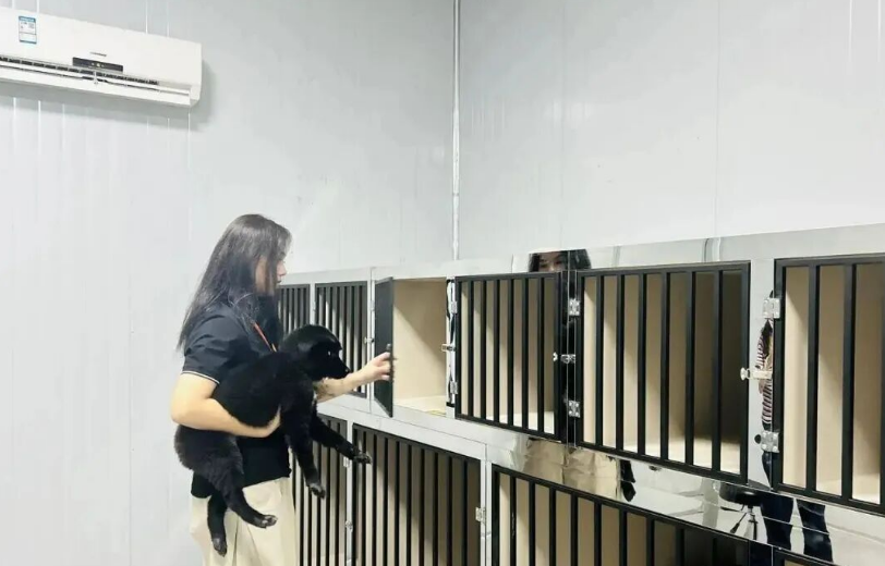 浙江杭州萧山国际机场打造华东首个宠物候机厅