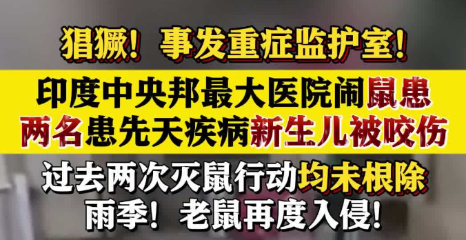印度一医院2名新生儿被老鼠咬伤手指和头肩部