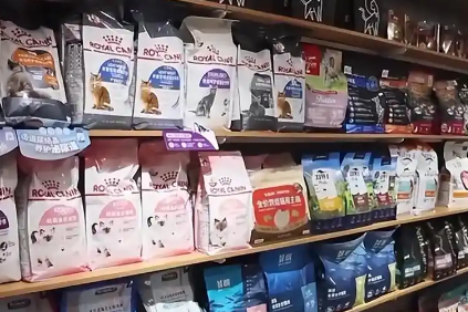 央视谈宠物经济爆发，12个宠物新赛道崛起