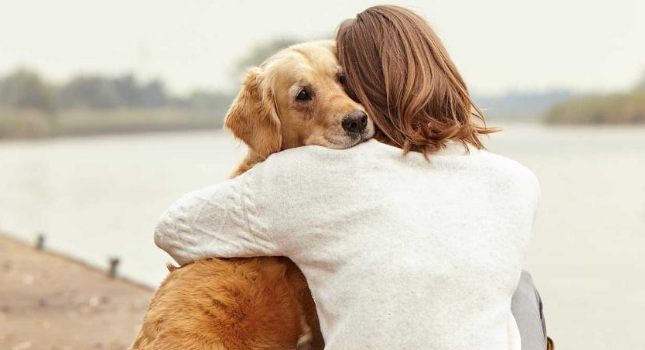 宠物智能科技赋能适老化照料，“它经济”浪潮掀起银发革命新蓝海