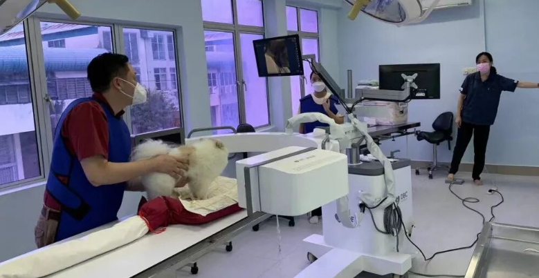 宠物影像顶流入驻！西瓜小镇庞各庄打造京南宠物医疗硅谷