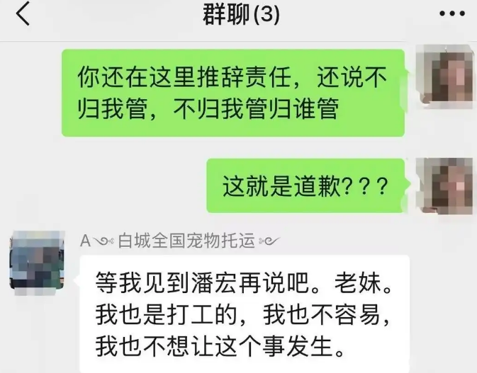 潘宏再陷风波：宠物狗在其指定的托运公司死亡