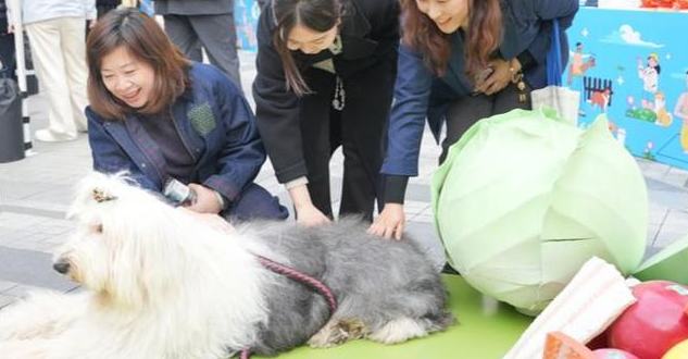 天平街道打造上海首个覆盖全域的“宠物友好街区”，带着毛孩子来衡复逛吃吧