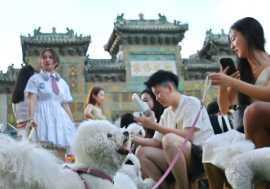 创新消费场景 宠物经济热潮涌动