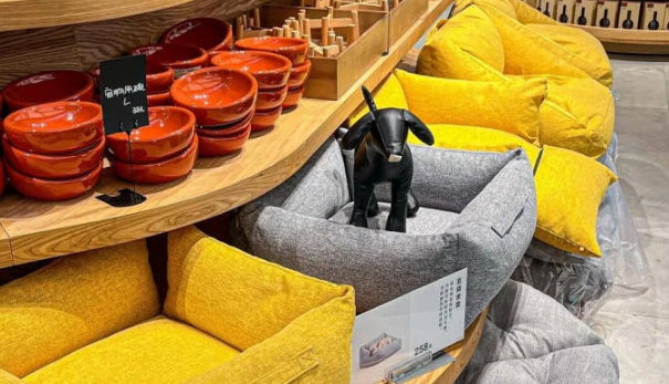 瞄准千亿宠物市场 MUJI、阿迪为何争着入局？