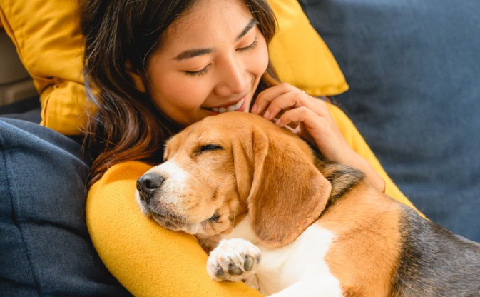 英国研究：养宠物价值等同于年薪7万英镑