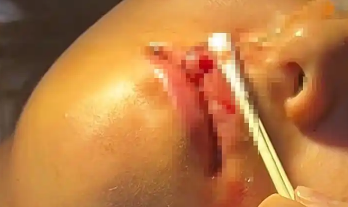 女子上门代喂，遭阿拉斯加犬咬伤！这个责该谁来担？