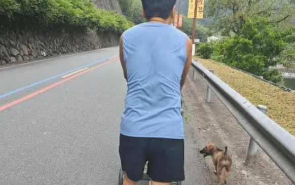 女子家经常喂流浪狗，小狗以为自己是家里的一员了