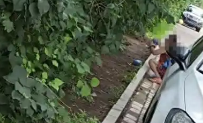 简直离谱！长春女子在公园放生蟑螂，警方这是投放病毒！