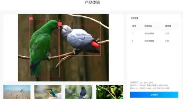 萤石网络助力宠物行业升级，推动养宠进入“科学化”时代