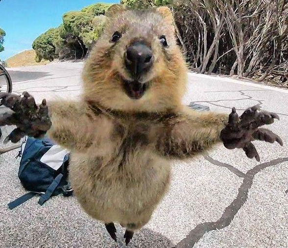 男子骑车发现被跟踪，停下来就被小可爱扑过来攻击 