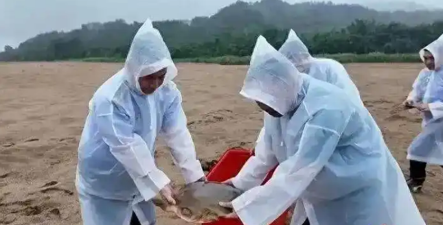 江中惊现“西游记神兽”，渔民一个电话，救下国家一级保护动物