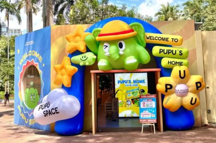 陆龟“赛跑”、熊猫玩足球、猕猴花式“跳水”……“动物全运会”开赛