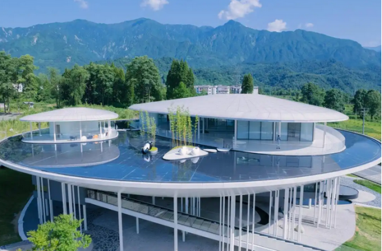 大熊猫保护求新可以打开更大空间