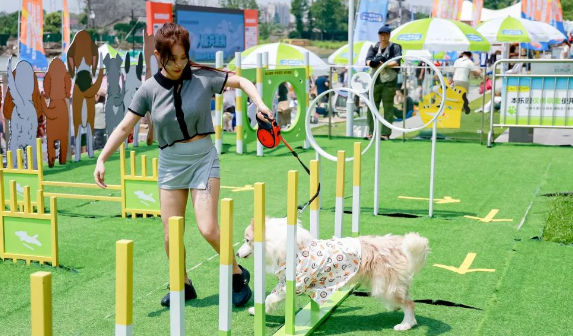 上海闵行宠物文化周：打造人宠共融新生态