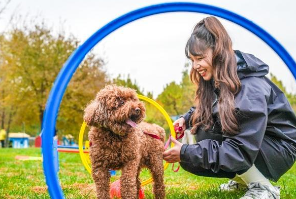 北京大兴庞各庄“西瓜小镇”主打“快乐休闲”，2025花宠季描绘产业融合新图景