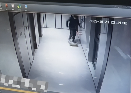 男子虐待流浪猫,警方干涉虐猫行为,男子虐待小区内流浪猫