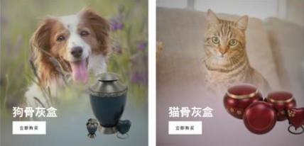 冷门宠物丧葬赛道 造就这家年营收超900万美金的品牌