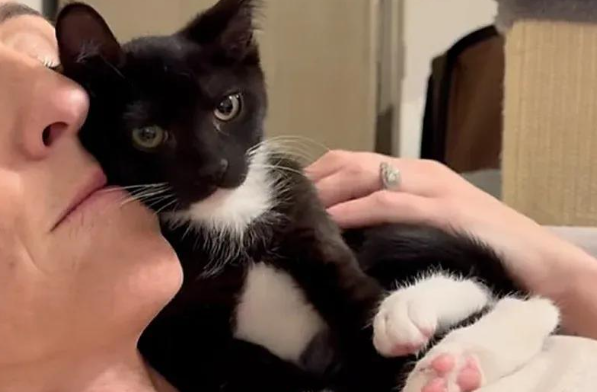 从街头霸王到撒娇萌猫，卸下心防的小黑遇到了最温柔的爱