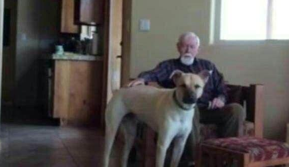 儿子送狗狗陪伴老年痴呆的父亲，在手机上看到家里监控后泪流满面 