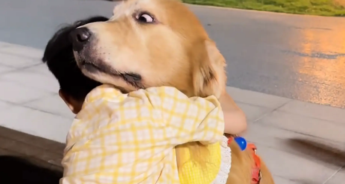 小男孩想摸狗子，结果却一把紧紧搂住狗子的脖子