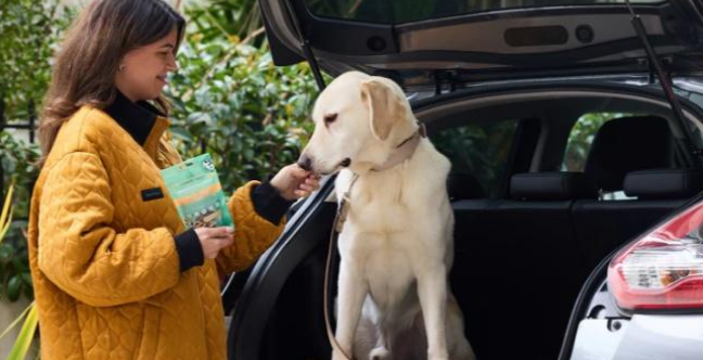 宠物智能科技赋能适老化照料，“它经济”浪潮掀起银发革命新蓝海