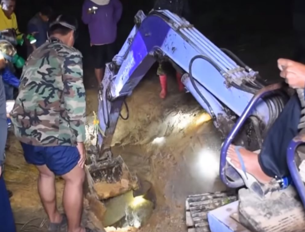 象宝宝掉进坑里，象妈妈通过嚎叫引来群众救孩子，暖心！