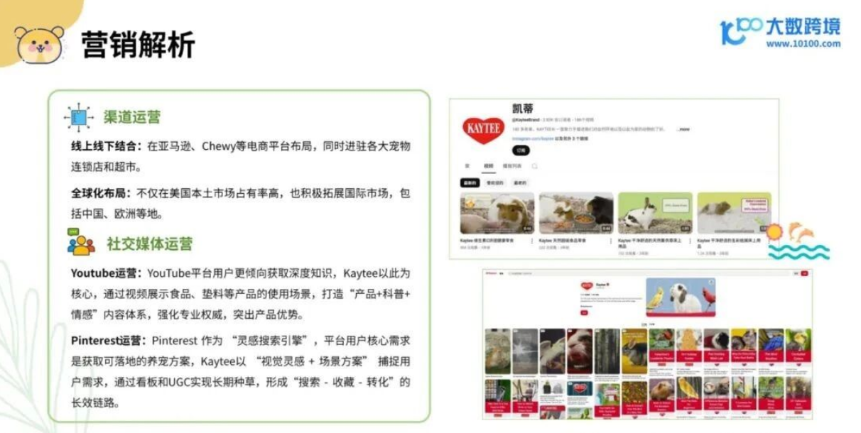 从消费人群到品牌，2025年小宠异宠用品市场浅析