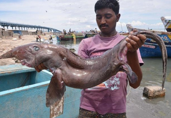 男子钓到一条怪鱼，仔细一看吓的两腿发软站不住！ 