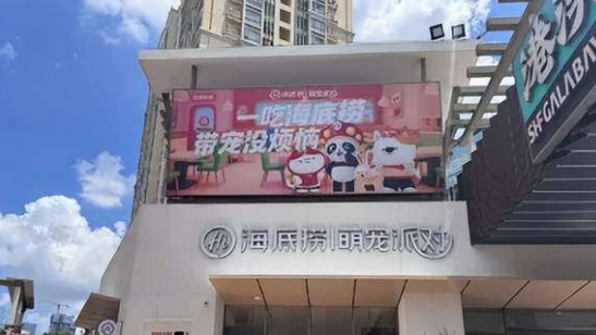 让宠物和人一起吃饭，海底捞拼了