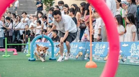 百汪大集结！南海“宠物友好商圈”挂牌，轻松去班味
