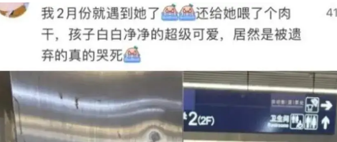 因坐高铁不能带猫，被主人遗弃小猫一直在同个位置等