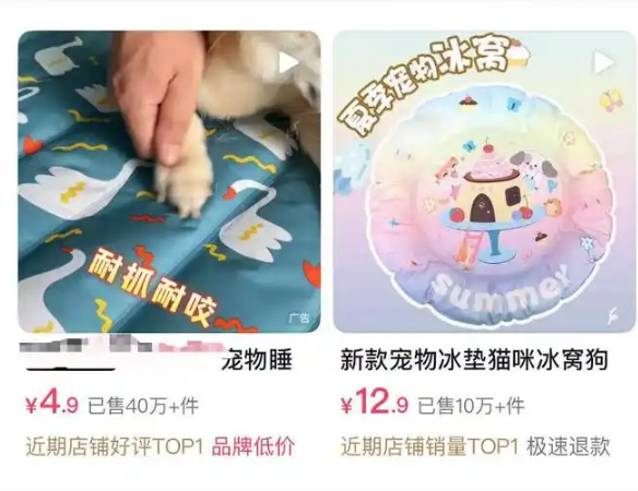 冰垫、防晒衣与剃毛争议：高温大考下，一场宠物经济与科学养宠的博弈