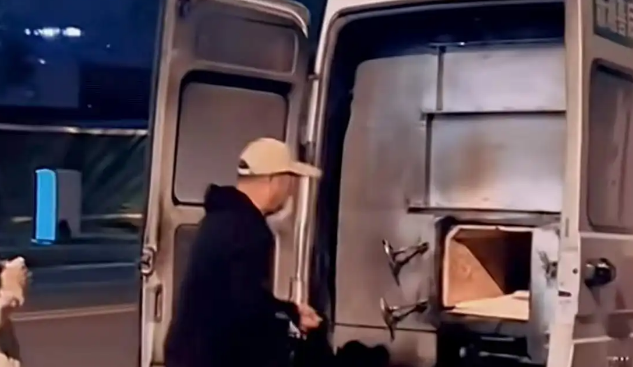 焚化炉送上门，宠物殡葬规范化刻不容缓