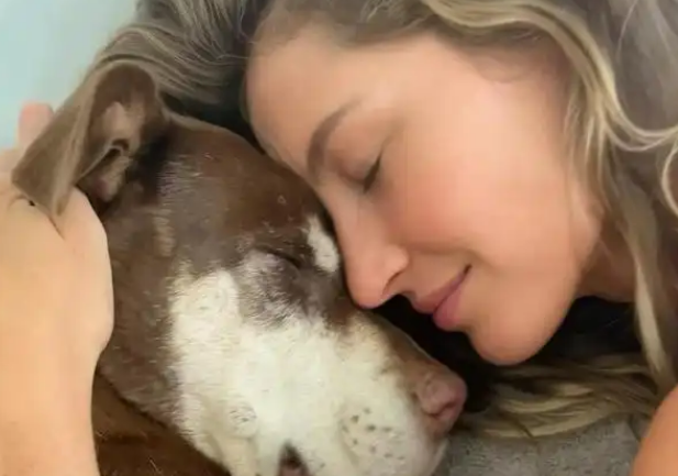 美运动员自曝饲养已故爱犬克隆体：由意图“复活恐狼”公司完成