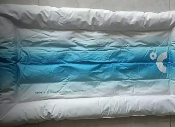 冰垫、防晒衣与剃毛争议：高温大考下，一场宠物经济与科学养宠的博弈