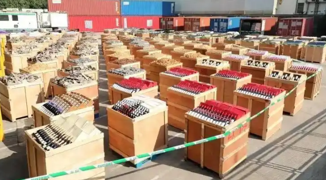 深圳查获大量异宠引发对外来物种入侵的关注与防范