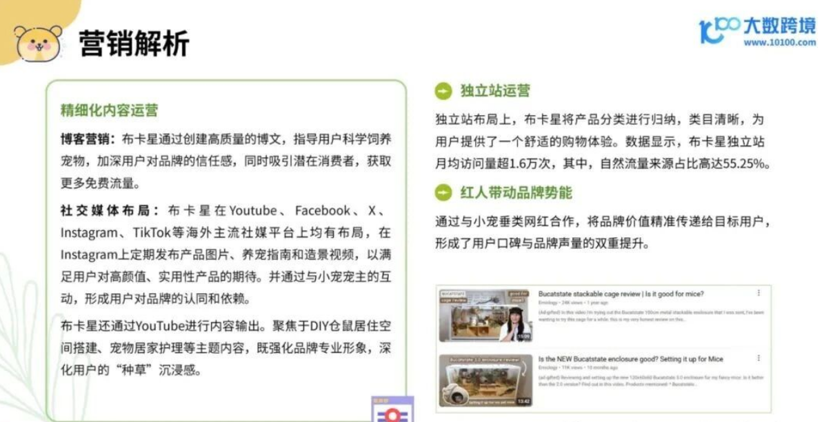 从消费人群到品牌，2025年小宠异宠用品市场浅析