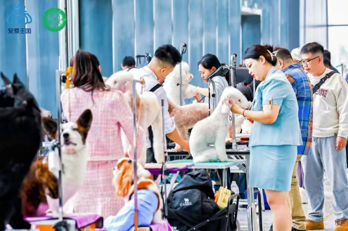 2025宠爱王国cku,宠菱王国2021,宠爱王国是cku吗