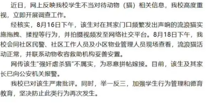 学生拖拽流浪猫引关注，银川高级中学：严肃批评涉事学生