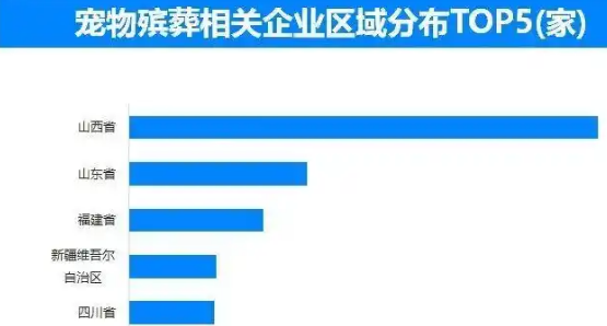 4.3万家企业，宠物殡葬生意“火到飞起”